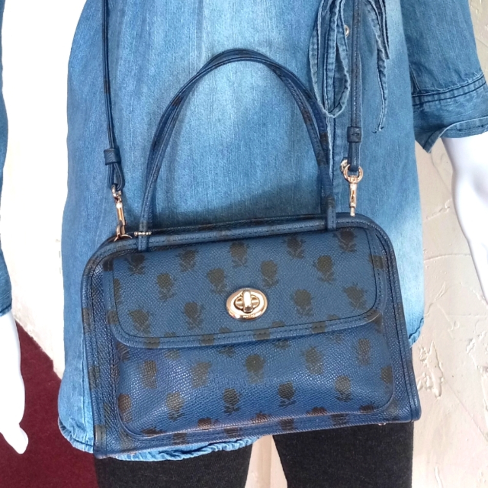 Coach Cady, Badlands Print on Crossgrain Leather, LE, Rare!!! - Picture 3 of 13